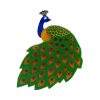 Erstwilder Brooches | Le Peacock Royal Brooch