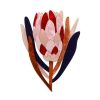 Erstwilder Brooches | Cheer For Protea Brooch