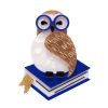 Erstwilder Brooches | Studious Snow Owl Brooch