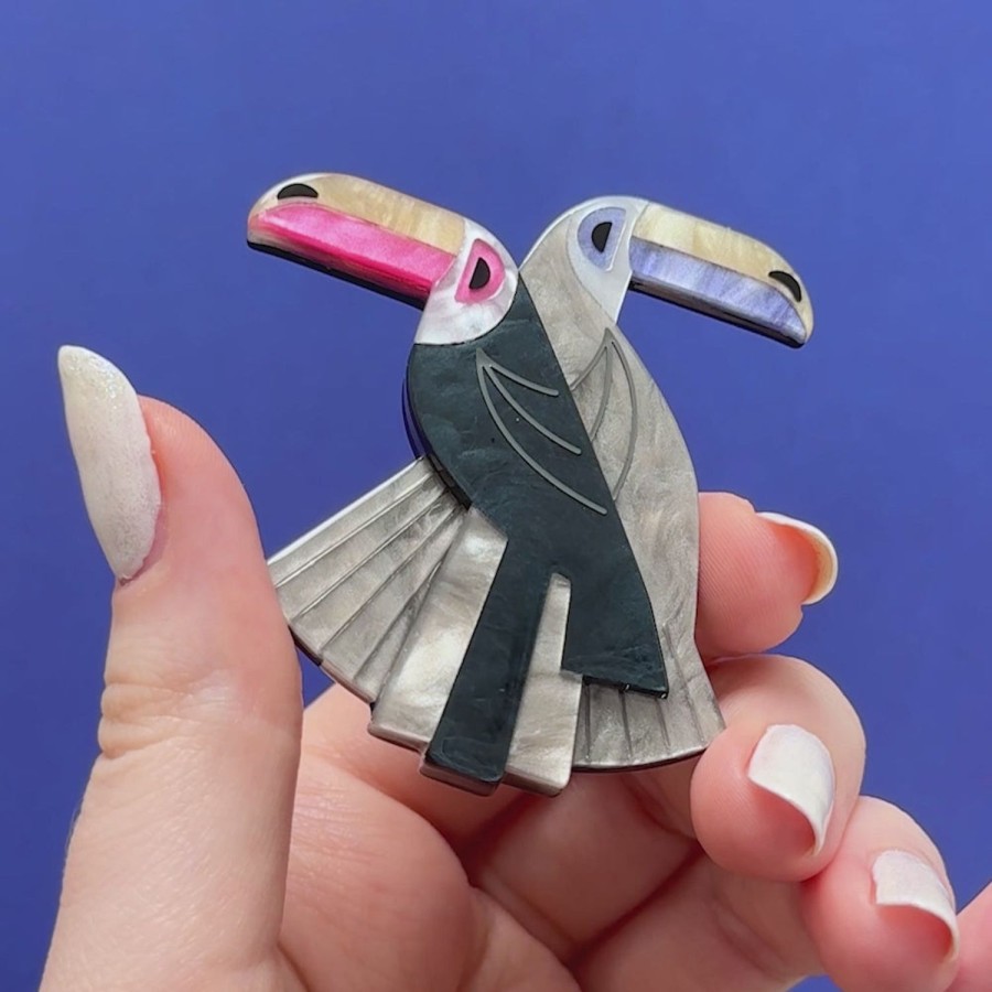 Erstwilder Brooches | Toucan Tango Brooch