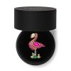 Erstwilder Brooches | Flamboyant Flamingo Funk Stone Set Crystal Brooch