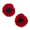 Erstwilder Hair Clips & Claws | Poppy Field Hair Clips Set - 2 Piece