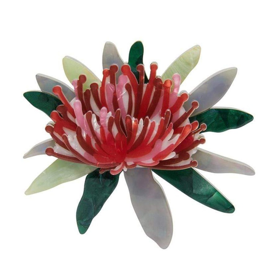 Erstwilder Brooches | Waratah Warmth Brooch