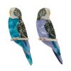 Erstwilder Brooches | Pair O' Keets Brooch Set