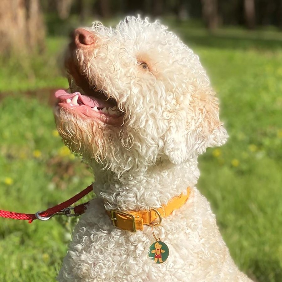 Erstwilder Enamel Key Rings | The Bite Before Christmas Enamel Pet Charm