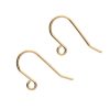 Erstwilder Components | Earring Hooks (Gold) - 1 Pair