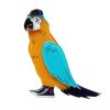 Erstwilder Brooches | Corey The Macaw Brooch