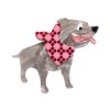 Erstwilder Brooches | Staffy Stan Mini Brooch