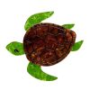 Erstwilder Brooches | Michelle Sea Turtle Brooch